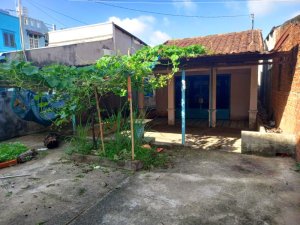 Nhà vườn Đ.6m 154m2, hậu nở Tô Ký HM
