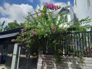 Giảm 100tr Nhà Quang Trung HM, 136m2, 10x19m