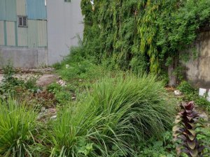 Đất Hà Huy Giáp Q12, 90m2, 4.8x18m