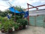 Đất vuông Phạm Văn Sáng HM, 225m2, 15x15m