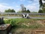 Đất vuông Đ. Ba Sa Củ Chi, 99m2, 5x20m