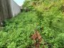 giá sốc! Đất hậu nở, 253.9m2 - Thạnh Lộc 41 Q12 5.x tỷ