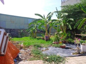 Giảm 400tr Đất nở hậu EcoTown Nguyễn Văn Bứa HM, 156m2, 13x13m