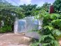 Giảm 2 tỷ Nhà xưởng Vuông MT An Phú Đông 25 Q12, 541m2, 8x72m