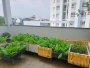 Giảm 100tr Nhà Vuông 3 tầng hậu nở Vườn Lài Q12, 81m2, 4x23m