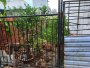 Đất N.hậu Nguyễn Thị Búp Q12, 72m2, 4x18m chỉ 3.x tỷ
