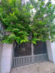 Nhà Vuông 2 tầng Nguyễn Thị Đành HM, 92m2, 4x23m chỉ 3.x tỷ