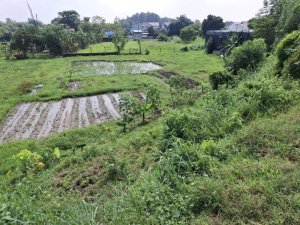 Giảm 400tr Đất view kênh Đ. 566 Củ Chi, 1894m2, 56x50m