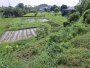 Giảm 400tr Đất view kênh Đ. 566 Củ Chi, 1894m2, 56x50m