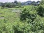 Giảm 400tr Đất view kênh Đ. 566 Củ Chi, 1894m2, 56x50m