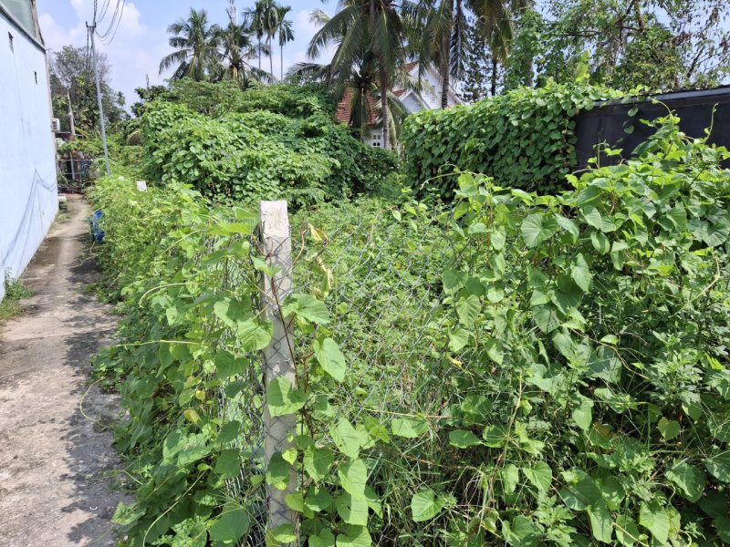 Đất 217m2, N.hậu, Đ.3m Thạnh Lộc 51 Q12