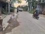 Nhà Vuông 2 tầng Thạnh Xuân 52 Q12, 63m2, 4x16m chỉ 3.x tỷ