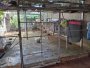Giảm 600tr! Đất vuông 105m2, Đ.4m Nam Lân 5 HM