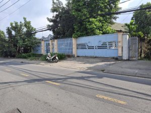 Nhà vườn mặt tiền 988m2, hậu nở, Đ.10m Dương Công Khi HM