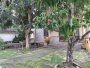 Nhà vườn mặt tiền 988m2, hậu nở, Đ.10m Dương Công Khi HM
