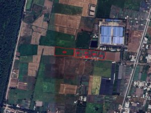 Rẻ! Đất 2.5tr/m2 0.6Ha Xuân Thới Thượng 2 HM