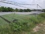Rẻ! Đất 2.9tr/m2 0.5Ha Xuân Thới Thượng 2 HM