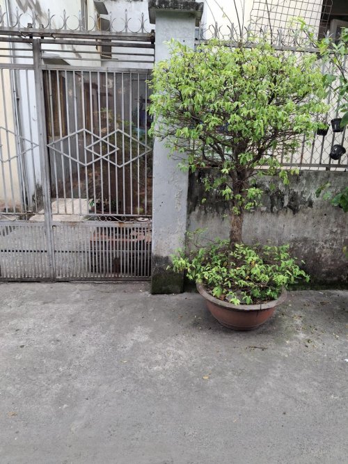 Đất vuông 50m2, Đ.3.5m Lê Đức Thọ GV