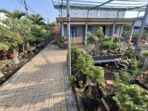 Đất 344m2, 2 mặt tiền, Đ.6m Vườn Lài Q12