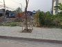 7 lô đất mặt tiền 2 MT Thạnh Lộc 31, Đ.8m Q12
