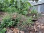 Đất vuông 189m2, Đ.4m Gò Dưa TĐ