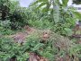 Đất vuông 189m2, Đ.4m Gò Dưa TĐ