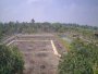 Quá rẻ Đất 0.5Ha, hậu nở, Đ.4m Trường Đông TN