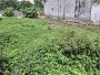 Đất HXT 245m2, Đ. Thông Vườn Lài Q12
