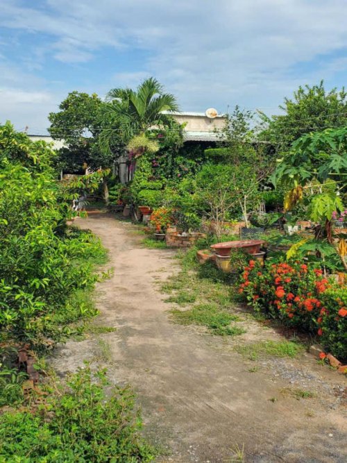 Đất Vườn HXT 722m2, hậu nở Xuân Thới Thượng 2 HM