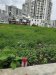 Đất HXT 56m2, Đ.7m, Vuông Thạnh Xuân 14 Q12