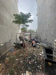 Rẻ! Đất Vuông 50m2 Trương Minh Ký Q12