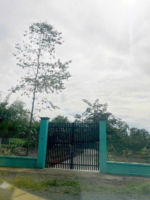 Đất nở hậu Đường 8m thông 1851m2 Cây Gõ công chứng
