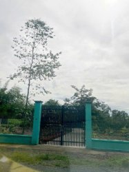 Đất nở hậu Đường 8m thông 1851m2 Cây Gõ công chứng