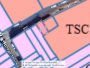 Nhà Vuông mặt tiền 2T K.Doanh đỉnh 45m2 Tân Thới Nhì 18 HM