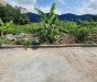 Đất vuông tốt Hẻm xe tải 100m2 Thạnh Xuân 47 Q12