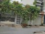 Nhà Vuông 2T hẻm xe hơi tránh 64m2 Nguyễn Xí Bình Thạnh