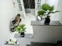 Nhà sổ hồng riêng Vuông 2 tầng 20m2 Quang Trung Gò Vấp