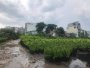 0.9Ha Đất ĐTư GD view sông Phan Huy Ích Gò Vấp