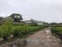 0.9Ha Đất ĐTư GD view sông Phan Huy Ích Gò Vấp