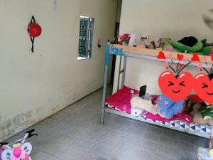 Nhà Vuông SHR hẻm XH né 103m2 Lê Đức Thọ Gò Vấp