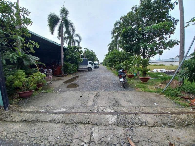 1.1Ha Đất MT sổ hồng riêng, nở hậu Phạm Thị Giây Hóc Môn