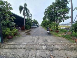 1.1Ha Đất MT sổ hồng riêng, nở hậu Phạm Thị Giây Hóc Môn
