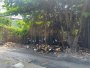 Đất Vuông sổ hồng riêng HXT né 120m2 Thạnh Lộc 29 Quận 12