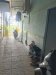 Nhà MT sổ hồng riêng 70 phòng 785m2 Nguyễn Kiệm Gò Vấp