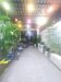 Nhà Vuông sổ hồng riêng 2T HXT né 94m2 Thạnh Xuân 52 Quận 12