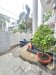 Villa 4T Đ.8m, sổ hồng riêng Vuông Bình Lợi Bình Thạnh