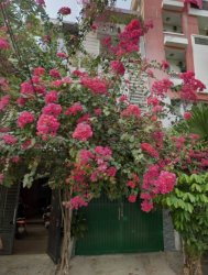 Giảm 2.5 tỷ! Nhà Vuông SHR 4T Đ.8m 98m2 Bình Lợi Bình Thạnh