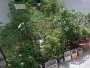 Đất Vuông sổ hồng riêng Đ.8m 126m2 Bình Lợi Bình Thạnh