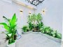 nhà mới sổ hồng riêng 5T hẻm xe hơi 75m2, Vuông Thạnh Xuân 25 Quận 12