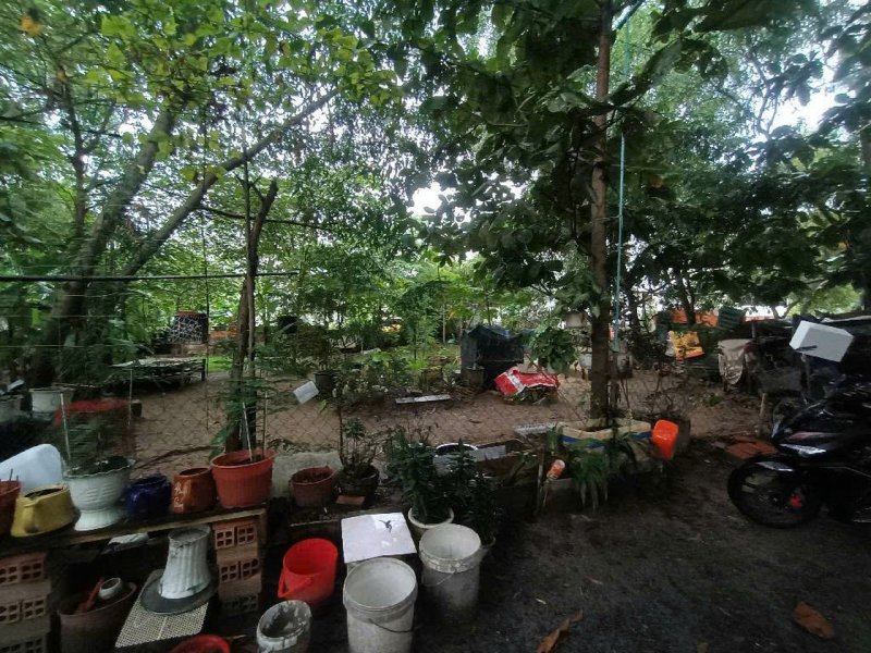 Đất Vuông sổ hồng riêng hẻm xe hơi 300m2 Tân Hiệp 4 Hóc Môn